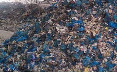 garbage