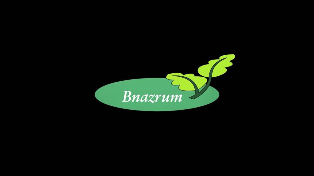 Bnazrum official company logo